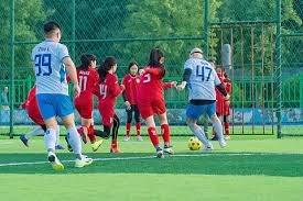 「北海道棒球乐园」人气爆棚的原因？吸引418万人的“比赛以外的300天”｜棒球